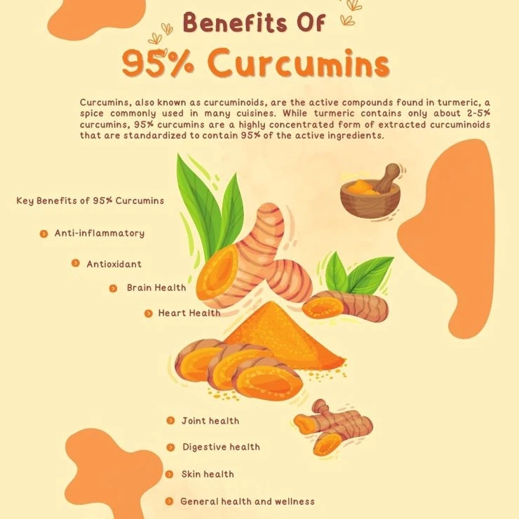 Uncovering the Benefits and Uses of 95% Curcumins