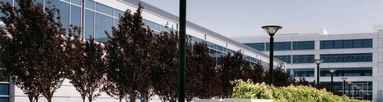 Why Businesses Trust A Commercial Architect