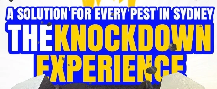 Pest Control Sydney | All Sydney Pest Solutions - Knockdown Pest Control