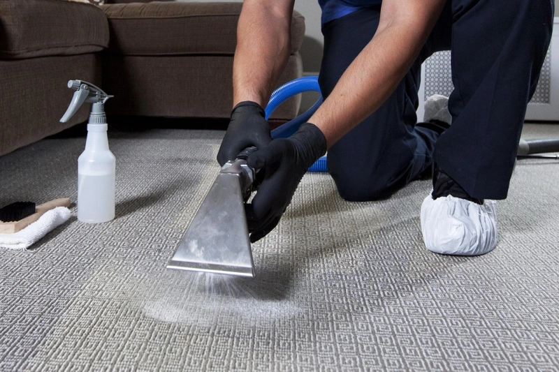 A Action Steamer: Unveiling the Best in Carpet Cleaning Excellence