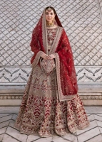 captivity Pakistani Party Wear Dresses: Embrace Traditional Glamour