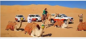 Desert safari in dubai