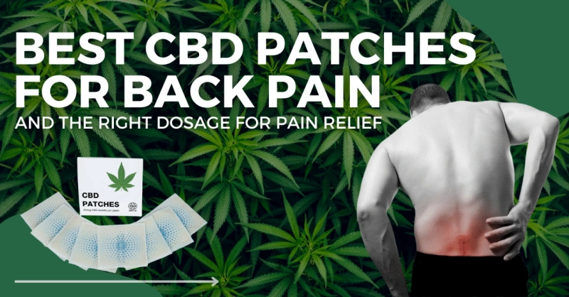 Best CBD Patches For Back Pain And The Right Dosage For Pain Relief