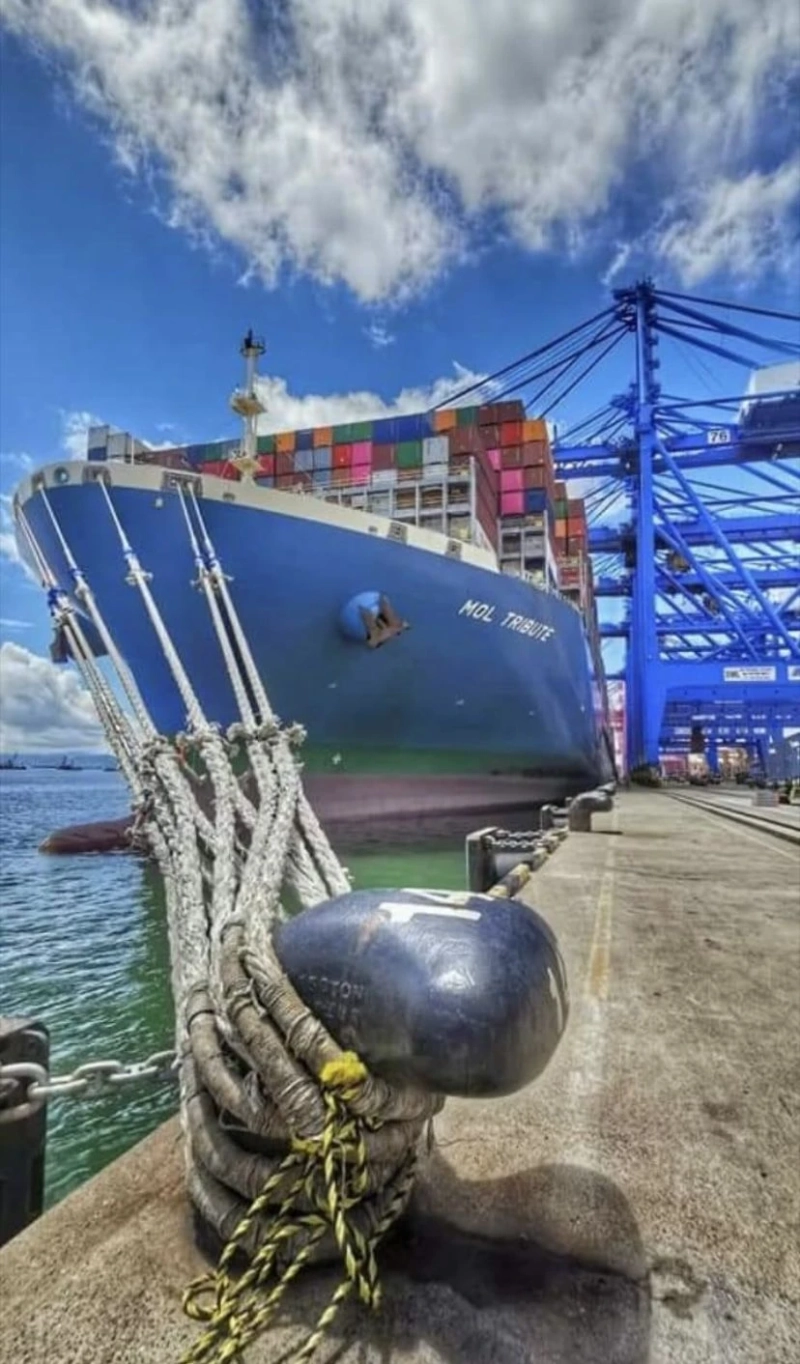 Why Insurance is Important to Your Cargo Shipping Services.