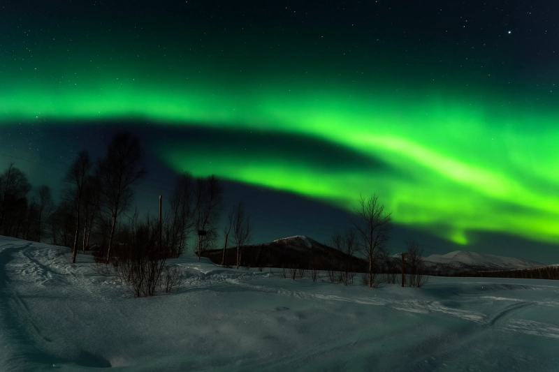 Aurora Borealis Levi A Mesmerizing Arctic Experience You’ll Never Forget