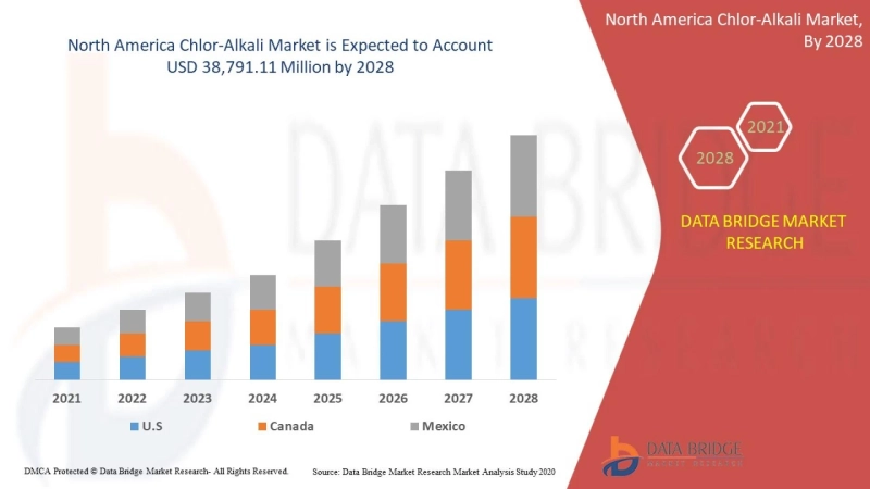 North America Chlor-Alkali Market: Analysis by Product Types, Application, Region and Country