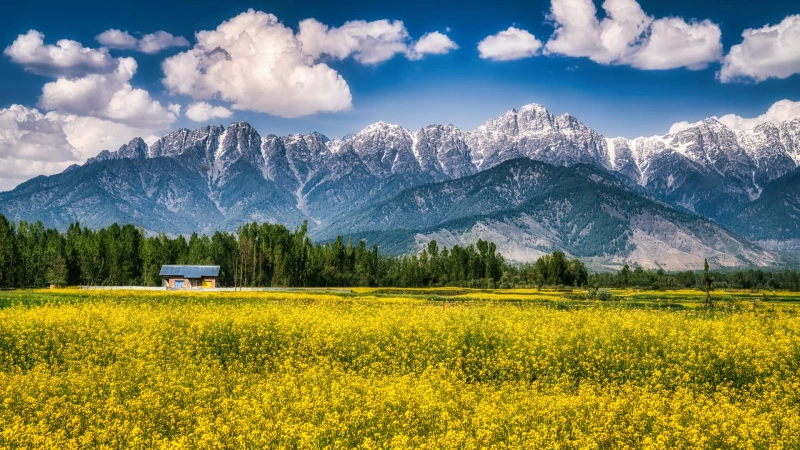A Trip Through Jammu & Kashmir: From Sacred Peaks to Himalayan Valleys