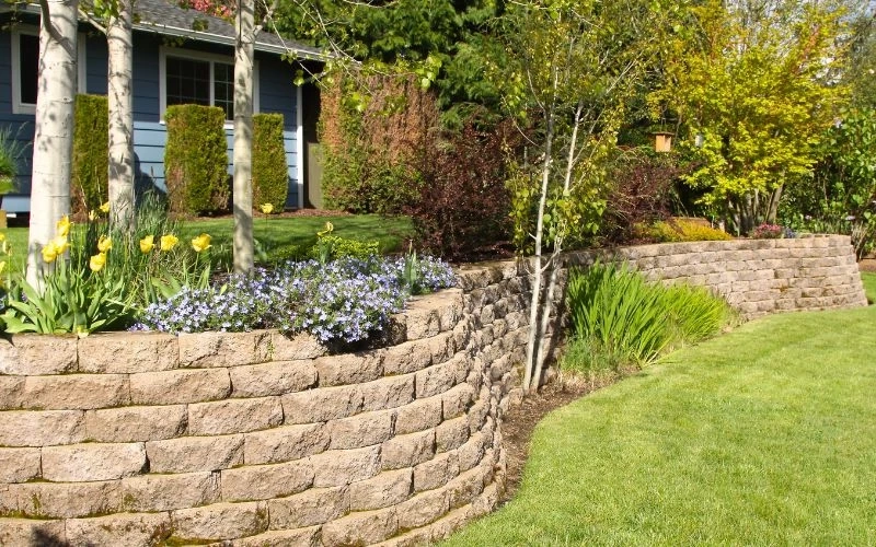 Retaining Walls Around Established Trees: What Most Homeowners Get Wrong