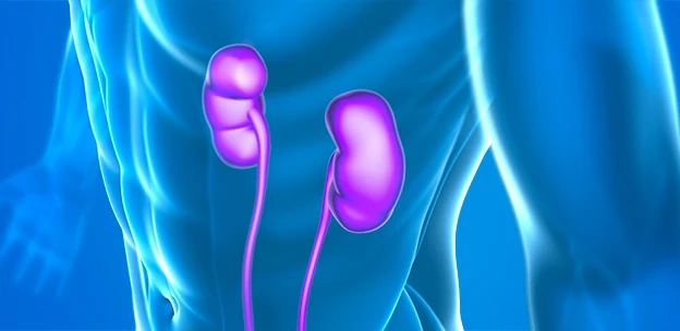 Transplantation Diagnostics Market 2021 Is Rapidly Increasing Worldwide In Near Future | GET FLAT 20