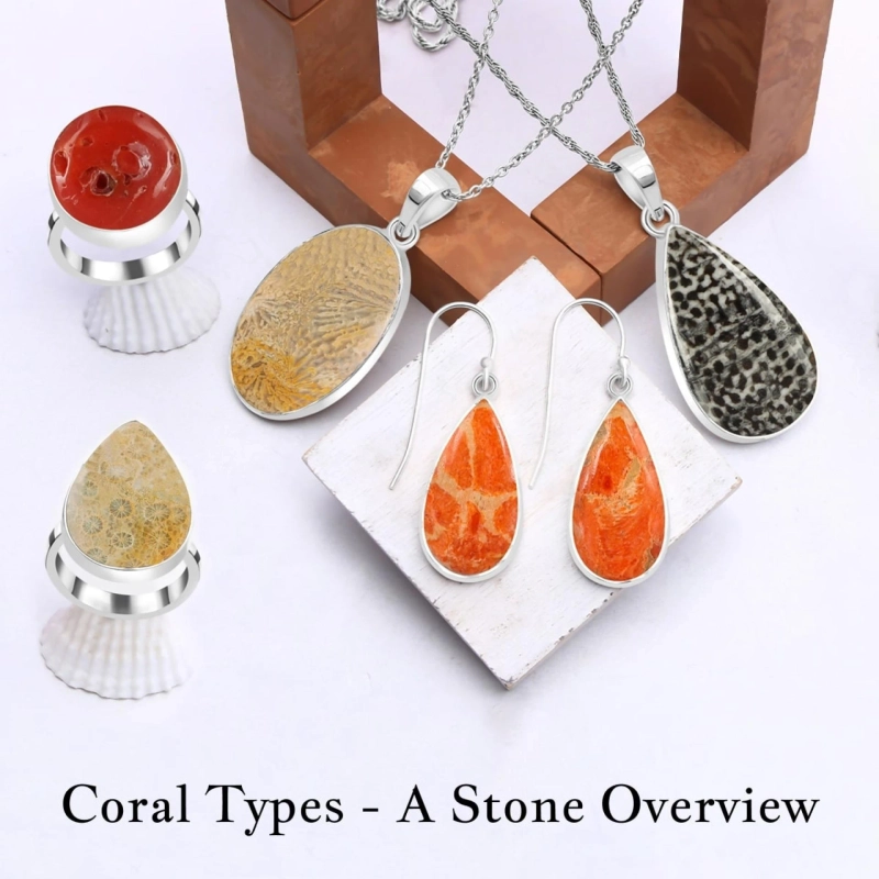 Types of Coral Stone - A Complete Guide