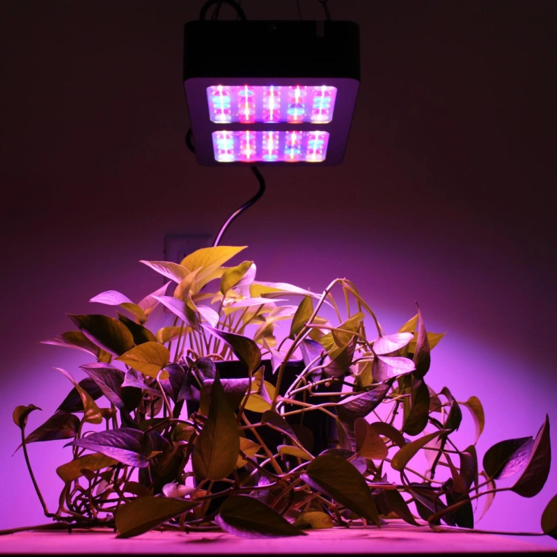 Europe Grow Light Market Share, Size, Growth, Opportunity and Forecast 2027