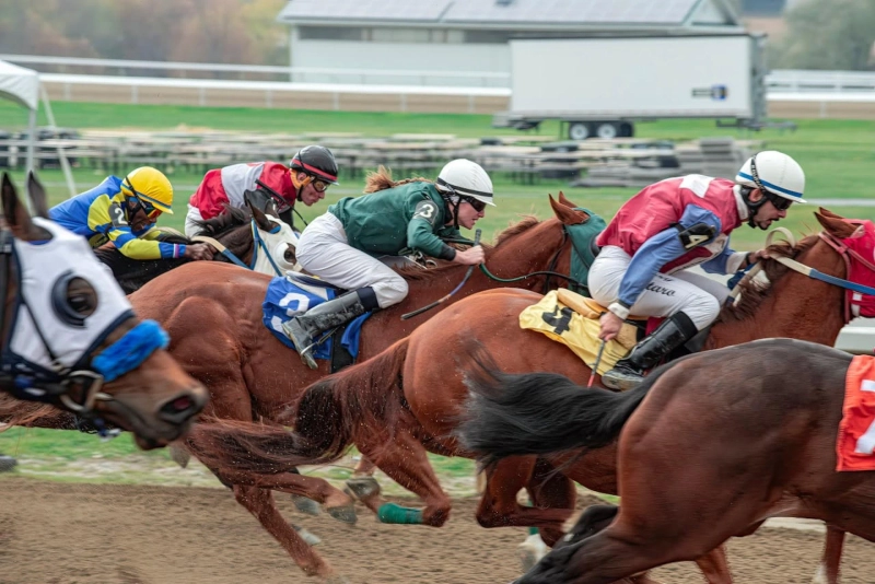 What Makes a Champion Racehorse? A Look into Breeding, Training, and Performance