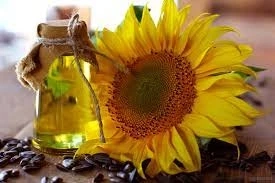 How does sunflower oil help your health?