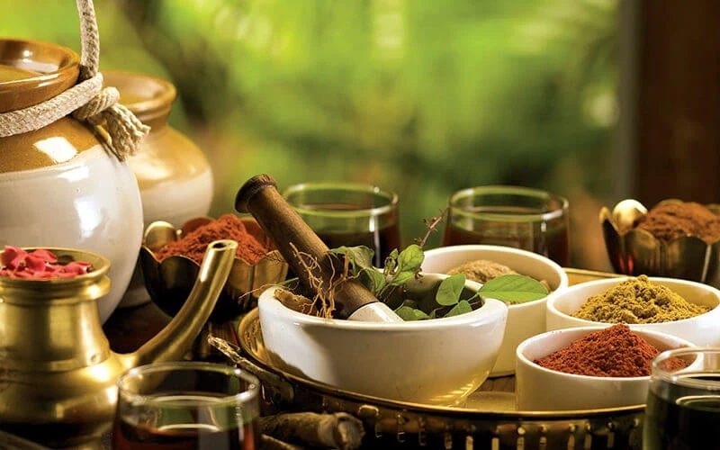 Unfold Your Inner Lotus: Yoga Aligned with Your Dosha