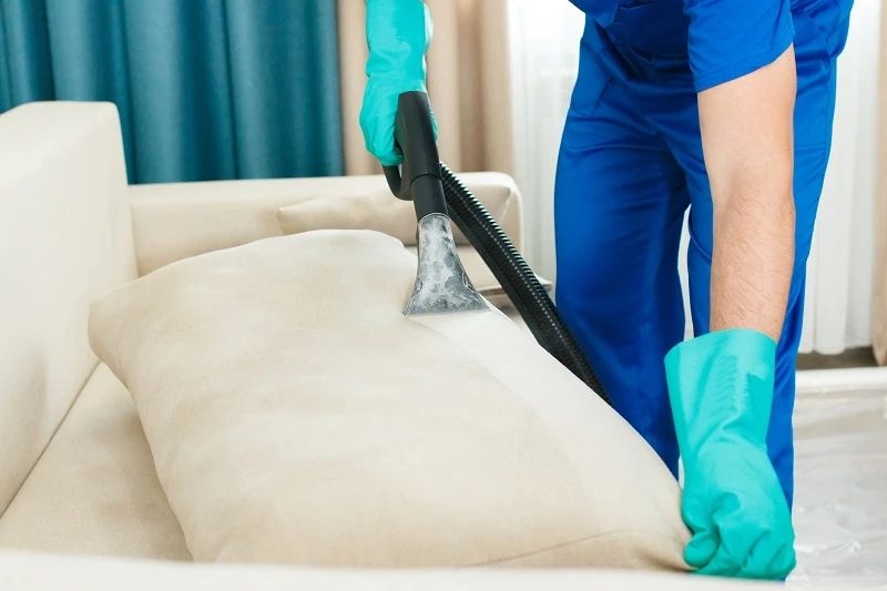 What Diseases Can Affect Your Health When You Ignore Upholstery Cleaning in Milton