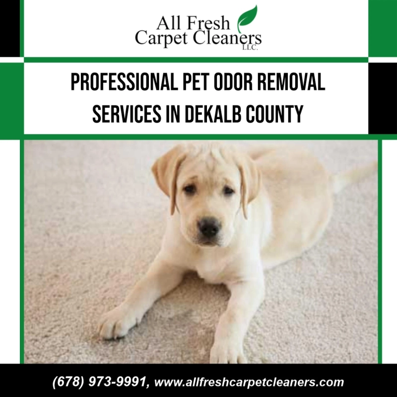 Pet Odor Removal Services And Love - How They Are The Same