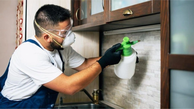 What Are The Indoor And Outdoor Pest Control Services?
