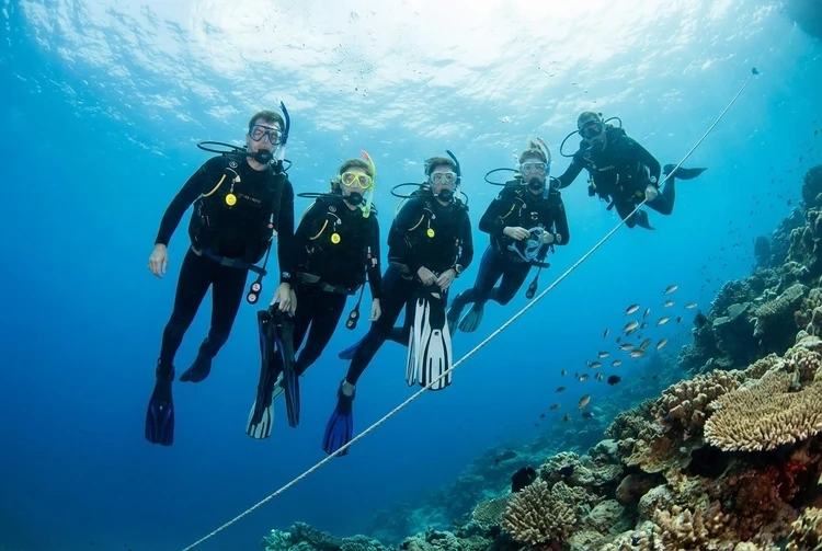 Open Water Diving Course Koh Tao: Certification & Training