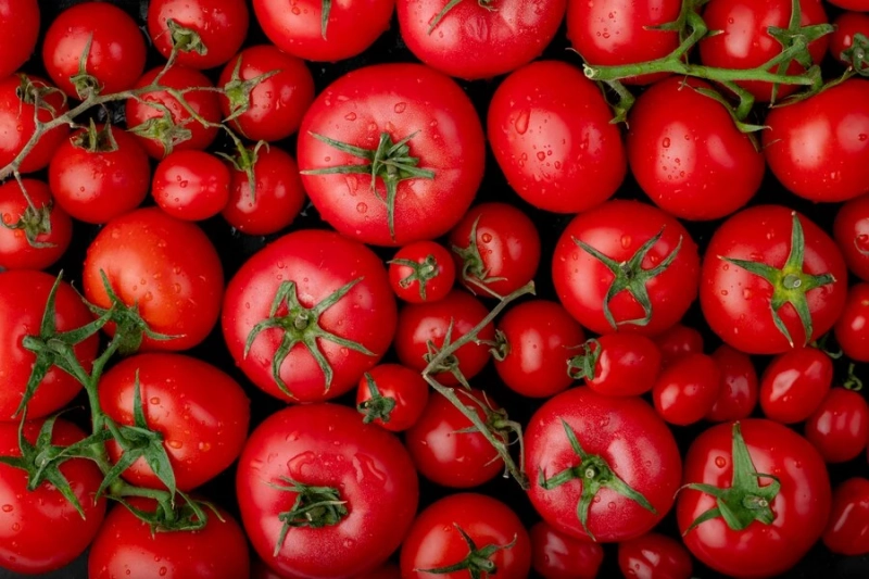 How to Grow Tomatoes from Seeds?