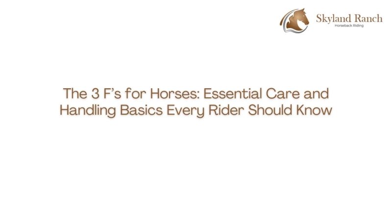 The 3 F’s for Horses: Essential Care and Handling Basics Every Rider Should Know