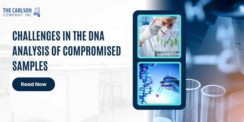 Challenges in the DNA Analysis of Compromised Samples