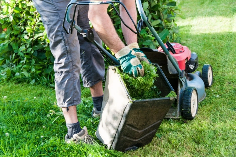 How Specialists Can Make Your Lawn Winter-Ready
