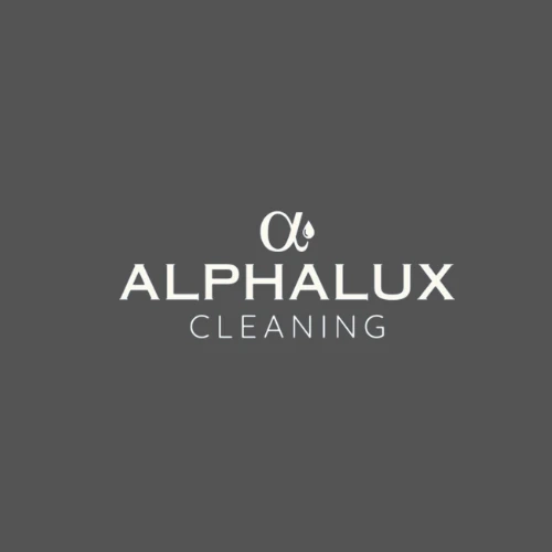 Reliable Professional Standard Cleaning CA for Homes and Offices