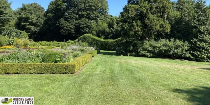 Six key advantages of hiring a professional garden clearance in Merton