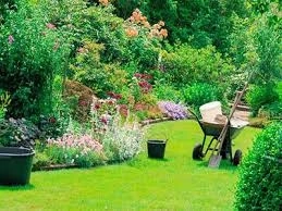 Best Company for Garden & Lawn Maintenance in Sydney 