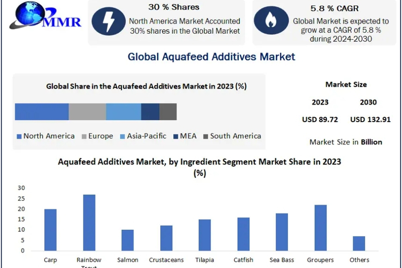 Aquafeed Additives Market Growth, Size, Revenue Analysis, Top Leaders and Forecast 2030