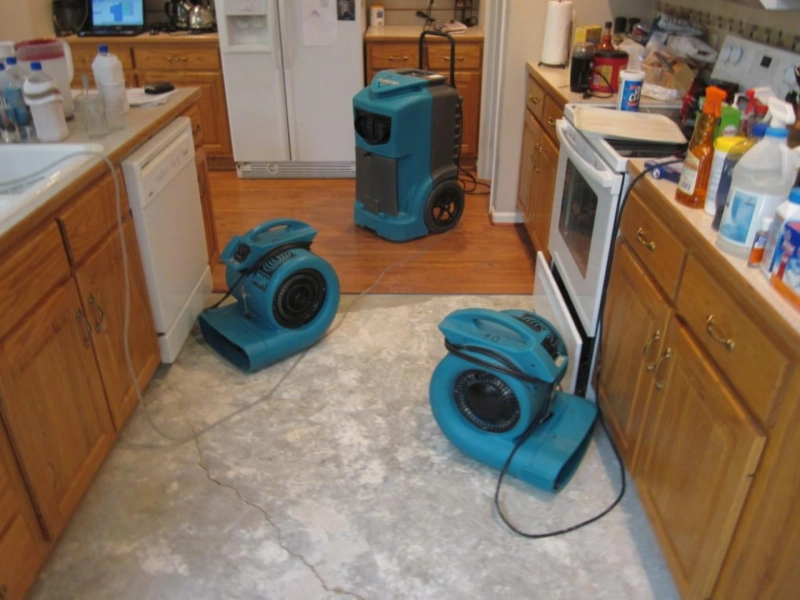 Why is it Important to Hire Water Repair Damage Service?