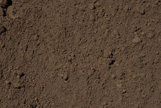 Exploring the Composition of Normal Soil