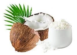 Organic Coconut Milk Powder Market 2021 By Manufacturers, Regions, Type And Application, Forecast To