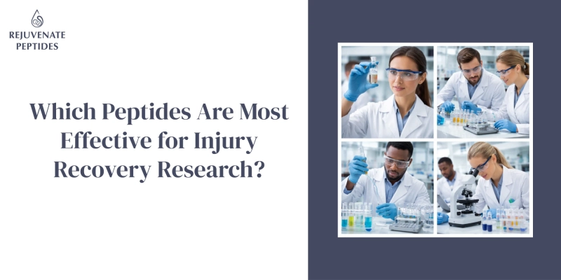 Which Peptides Are Most Effective for Injury Recovery Research?