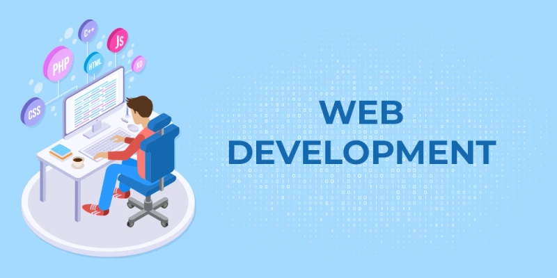 website developer in india