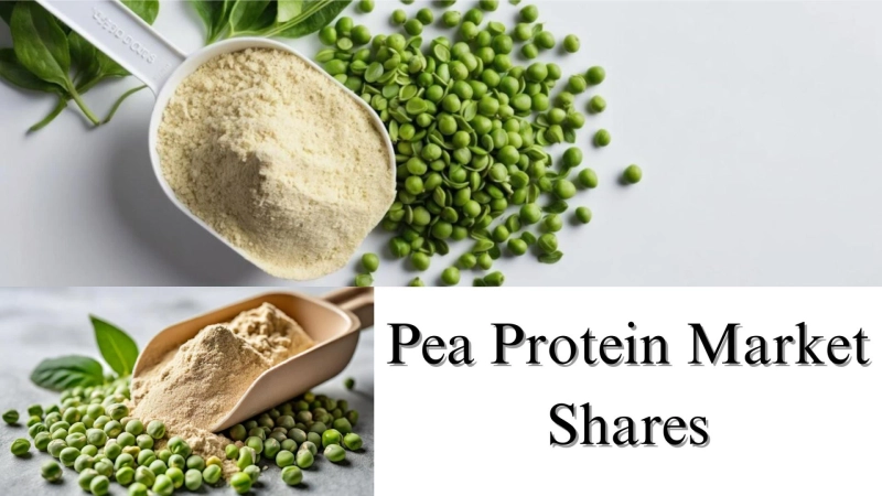 Pea Protein Market Share, Size, Growth Forecast Through 2032