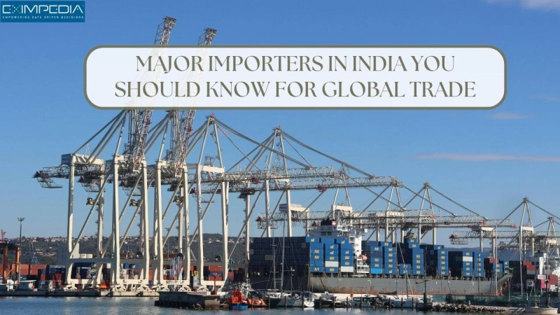 Major Importers in India You Should Know for Global Trade