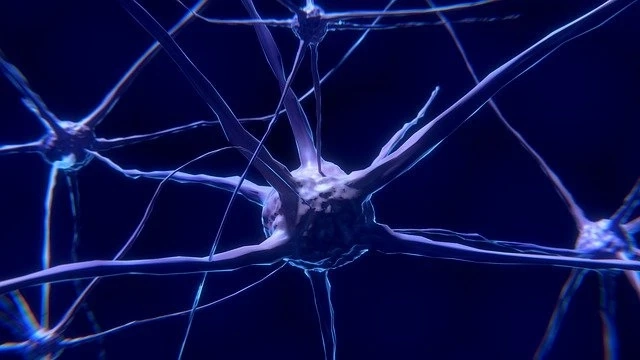 Neuroprosthetics Market Statistics, Trends, Segmentation Analysis and Forecast to 2027