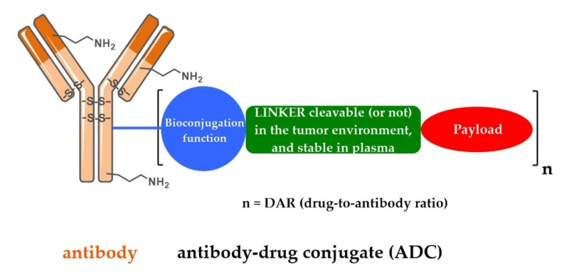 Antibody Drug Conjugates - Transforming the Landscape of Cancer Treatment