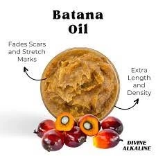 Ancient Beauty Secrets Unveiled: The Miraculous Powers of Batana Oil