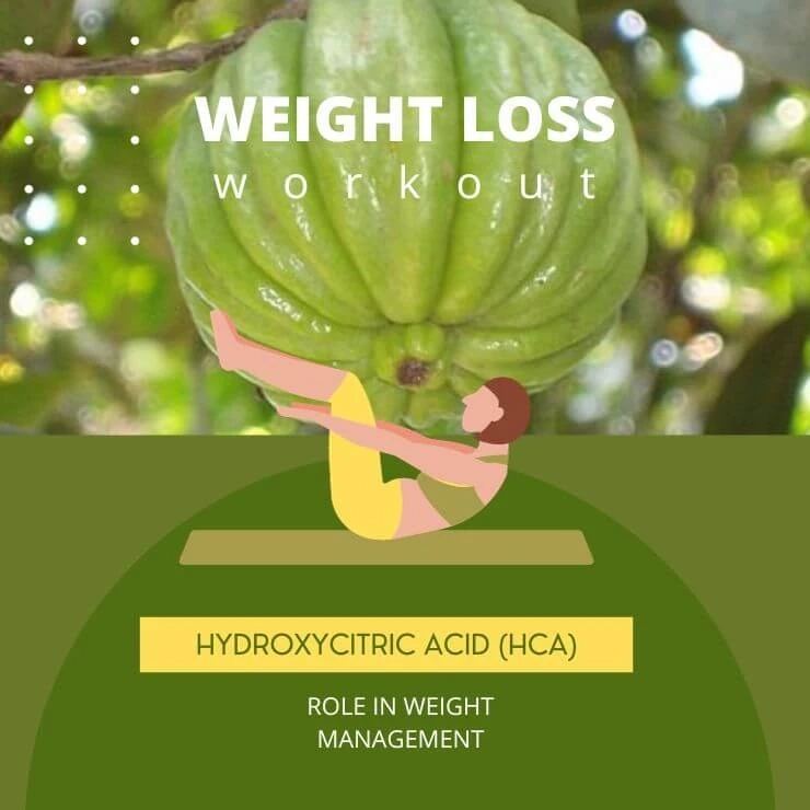 Introduce the key component, hydroxycitric acid (HCA), and its role in weight management