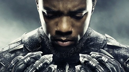 The Legacy and the Lessons of Black Panther