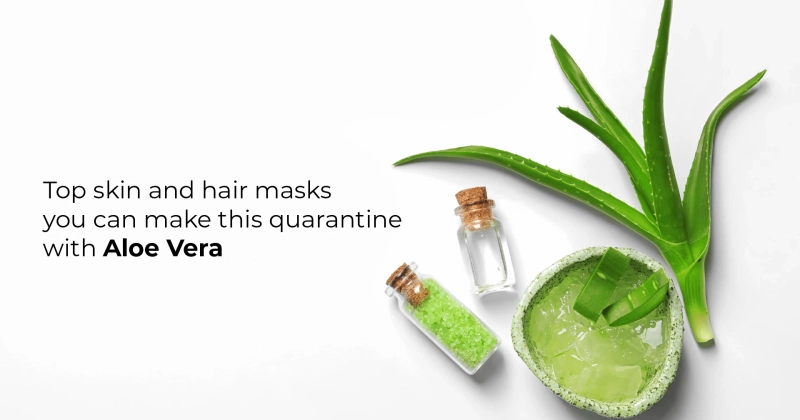 Top skin and hair masks you can make this quarantine with Aloe Vera