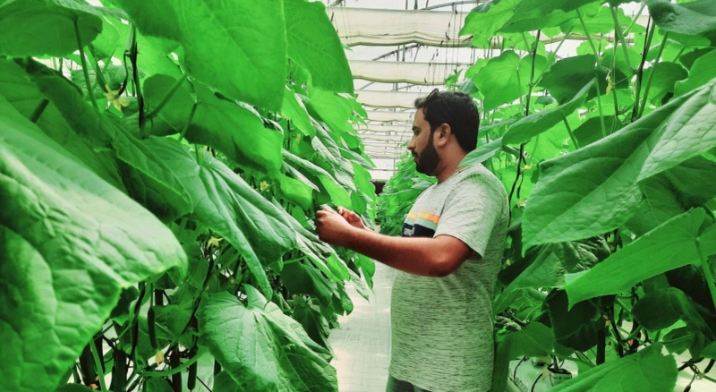🌱 Sustainable Farming Solutions Every UAE Grower Should Know