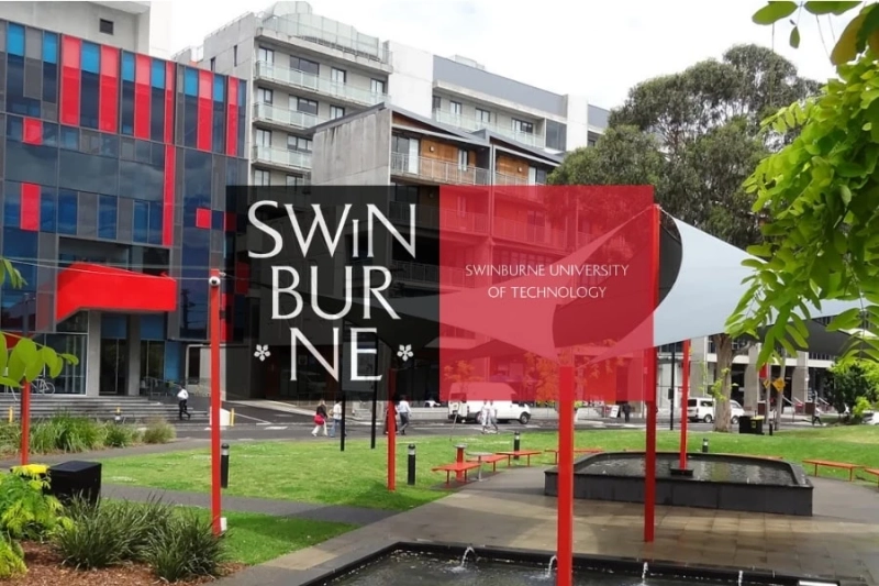 Tips to Choose the Right Swinburne University Courses