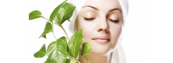 Guggulupanchapalachurnam Herbal Formula Curing Skin Disorders