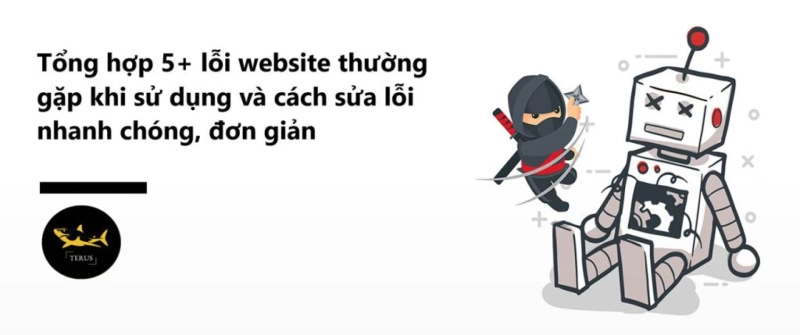 Tổng hợp các lỗi website thường gặp và cách Terus xử lý lỗi