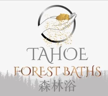 Soak, Revive, Rejuvenate: Unique Detox Experiences in Lake Tahoe