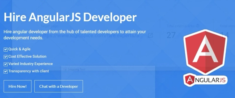 Hire AngularJS Developer