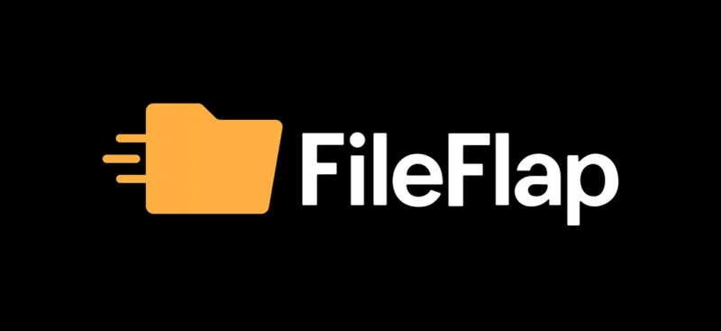 The Top 10 Best Websites to Transfer Big Files in 2024: The Ultimate Guide